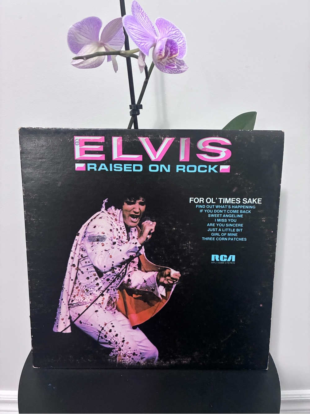 Elvis 'Raised on Rock' Vinyl Record - Black with Pink/Teal Text